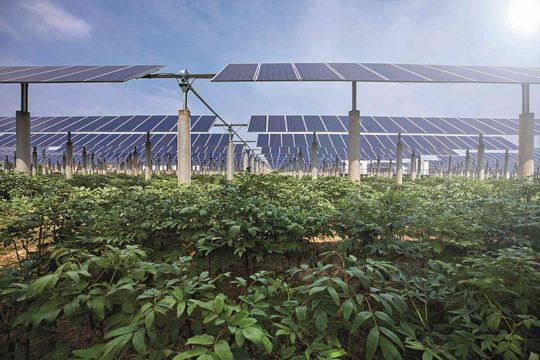 DC-Sicherungsschutz gewährleistet eine sichere Energieerzeugung und ermöglicht die doppelte Nutzung von Flächen für Landwirtschaft und Solarenergie. (Bild:  stock.adobe.com, jeson)