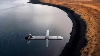 Rheinmetall macht die Pläne wahr, mit dem Unternehmen Destinus künftig Marschflugkörper zu bauen, wie hier einer davon zu sehen ist ... (Bild: Destinus)