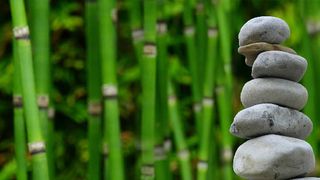 ThousandEyes bietet nun auch Monitoring-Knotenpunkte in weltweit 19 Alibaba Cloud-Regionen. (gemeinfrei, EliasSch / Pixabay)