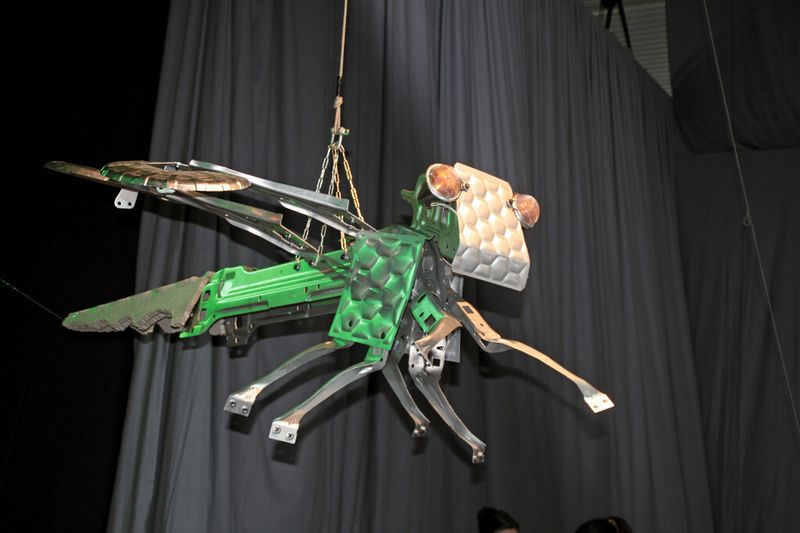 Die Libelle zeigt anschaulich, wie Leichtbau in der Natur funktionieren kann. (Bild: Westfalia/HTPT)