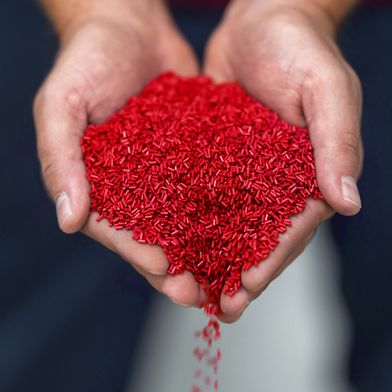 Wenn Materialien wechseln, liefert Lifocolor nach eigenen Angaben das passende Masterbatch: trägeridentisch, prozesssicher, zugelassen. (Bild: Lifocolor)