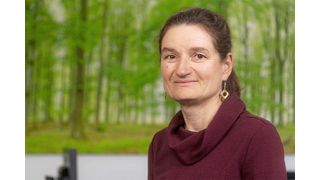 Dr. Sabine König (André Künzelmann / UFZ )
