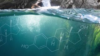 Abb. 1: Die Steroidhormone 17 α -Ethinylestradiol (EE2), 17 β -Estradiol (E2) und Estron (E1) werden über menschliche Ausscheidungen ins Abwasser und somit auch in Oberflächengewässer eingetragen. (© Yaar- stock.adobe.com)