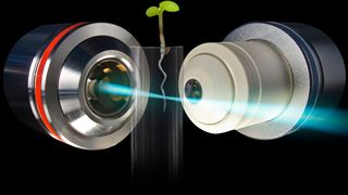 Lichtscheiben-Fluoreszenzmikroskopie, wie hier zur Untersuchung des Wurzelwachstums eingesetzt, beruht auf zwei Prozessen:   1) Seitliche Beleuchtung der Probe mit Laserlicht entlang einer Ebene.  2) Detektion von Fluoreszenzlicht aus einem dünnen, um die Beleuchtungsebene zentrierten Volumen. (Daniel von Wangenheim)