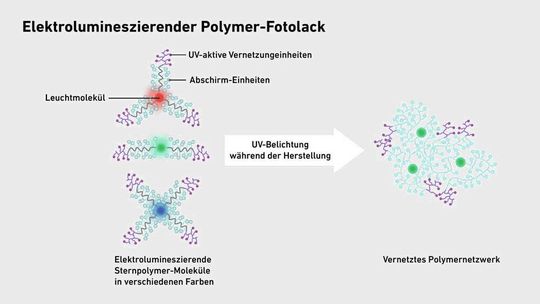 Aus einzelnen Molekülkomplexen entsteht durch Belichtung ein vernetztes Polymernetzwerk, aus dem die einzelnen Bildpixel bestehen.(Bild:  aus Lo SW et al. Nature 2026, bearbeitet)