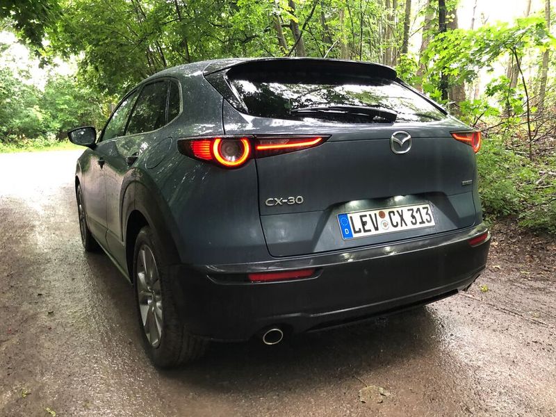 Hohes Heck: Die Rückseite wirkt kräftig, ein Hingucker sind die Rückleuchten. (Bild: Jens Scheiner/»Automobil Industrie«)