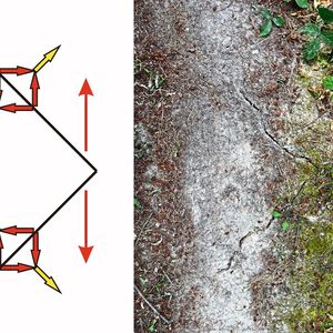 Abb. 3: Wir wissen es nicht genau, welche Lasteinleitung dieses Fragment eines Zickzack-Risses auf einem Trampelpfad im Wald entstehen ließ, die Notbremsung eines wackeren Bikers oder seine Beschleunigung? Oder einfach nur unterschiedlicher Bodenschwund bei Trocknung? Einerlei. Ein wechselnder Schub ist jedenfalls eine wahrscheinliche Rissursache!(Bild:  Mattheck)