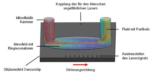 Abb. 3: Strömungsprofil des Blutes beim Einströmen in die Mikrofluidik. In den numerischen Simulationen konnten die Ein- und Ausströmgeschwindigkeiten, Ausspüldauer sowie die Wandschubspannungen auf dem Messfeld berechnet und optimiert werden. Hierzu wurde sowohl Fluid mit den Eigenschaften von Blut oder der Spülflüssigkeit, sowie Partikel mit den Eigen-schaften der Elektrolyte in die Simulation integriert.(Bild:  Fraunhofer HHI)