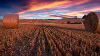 0105116547 (Bild: Dell Technologies)