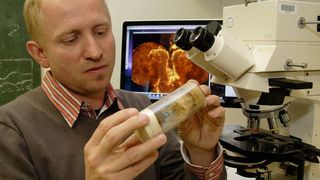 Professor Stephan Sigrist untersucht unter anderem die Architektur von Synapsen. (Bild: Bernd Wannenmacher)