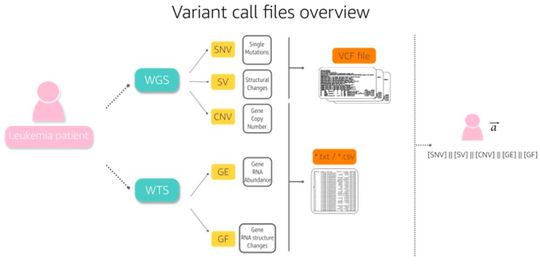 Abb. 1: Hier sind alle verarbeiteten Dateien für das Training zu sehen.(Bild:  Amazon Machine Learning Solutions Lab)