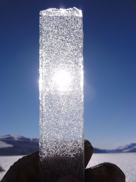 Lufteinschlüsse in einem Eisbohrkern aus der Antarktis: Das Eis ist bis zu 24.000 Jahre alt. (Bernhard Bereiter / Scripps Institution of Oceanography / Empa / Universität Bern )