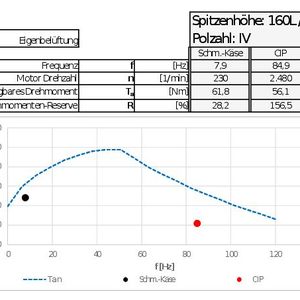 Anwendungsbeispiel Motorauslegung für Schmelzkäseförderung ohne TSG(Bild:  Fristam)