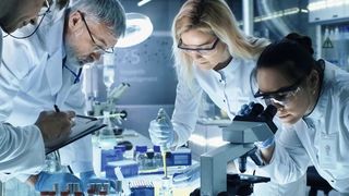 Abb.1: Um die komplexen Arbeiten im Labor zu optimeren, können Grundlagen des Lean-Managements eingesetzt werden. (© Gorodenkoff Productions OU - stock.adobe.com)