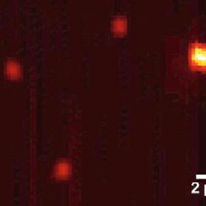 Aufnahme einzelner Moleküle – mithilfe von Schall