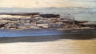 Feuchtigkeitsschäden sind an Freizeitfahrzeugen keine Seltenheit. Diese Rahmenleiste war längere Zeit Nässe ausgesetzt. (Bild: CGF)