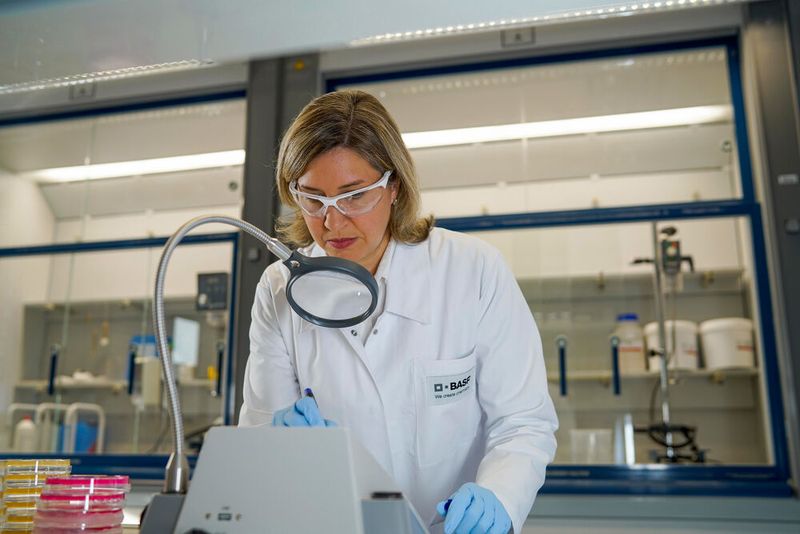 Entscheidend bei der Erforschung neuer biologischer Pflanzenschutzprodukte ist die Frage nach ihrer Haltbarkeit. Deborah Lynn Neethling, Forscherin bei BASF im Bereich Microbiology & Biologicals Strain Library, und Christina Arends, Chemielaborantin, ermitteln hierfür die CFU-Werte (CFU steht für colony forming units; Deutsch: KbE: koloniebildende Einheiten), also die Anzahl der Pilz- oder Bakterienkolonien einer biologischen Formulierung. Die Anzahl der Kolonien bildet die Wirkstoffkonzentration eines Produkts ab.  (Bild: BASF SE)