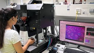 Um das Verhalten der DNA nachvollziehbar und vorhersagbar zu machen, kombinieren die Forschenden am KIT Laborexperimente mit Computersimulationen.   (Bild: Lennart Hilbert, KIT)