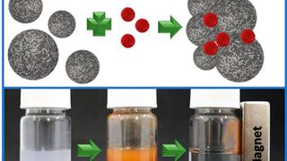 Schematische Darstellung der Nanoplastikpartikel und der SPIONs sowie deren Agglomerate (oben) Fotos der magnetischen Entfernung – links: Nanoplastik Dispersion; mitte: nach Zugabe von SPIONs und rechts: nach Anlegen eines Magneten. (Bild: adaptiert von MatToday)