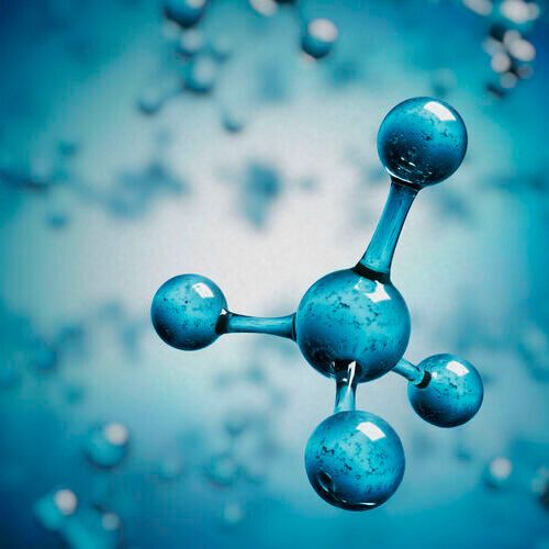 The research project will receive a funding of roughly 300,000 euros from the European Union. The research project will receive a funding of roughly 300,000 euros from the European Union.