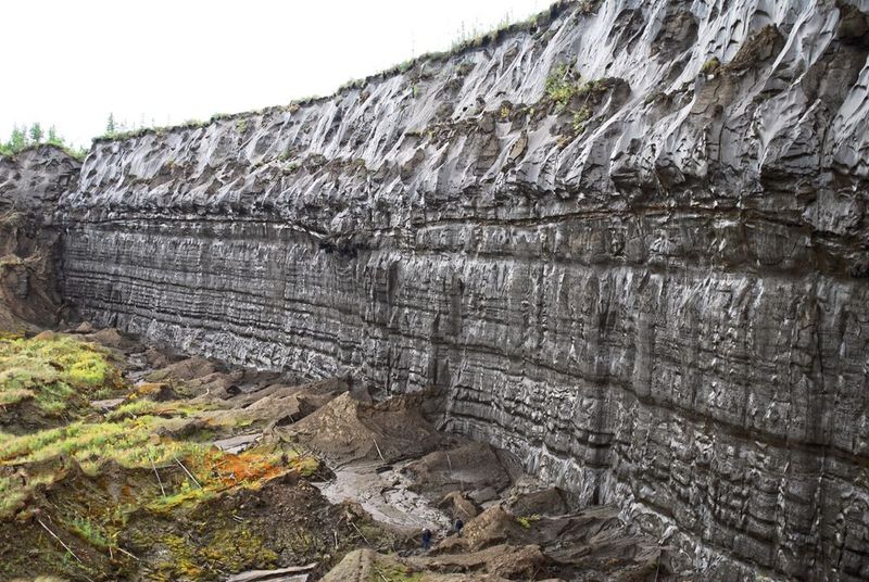 Batagai-Permafrost-Abbruch in Sibirien. Forschende haben den Permafrost in 50 Metern Tiefe jetzt auf ein Alter von 650.000 Jahre datiert - er ist damit der der älteste jemals in Eurasien nachgewiesene Permafrostboden.  (Bild: Alfred-Wegener-Institut, Thomas Opel)