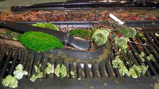 Recht viel Moos hatte ein Autofahrer in Dortmund dabei. (Polizei Dortmund)