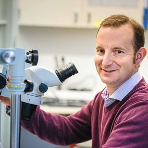 (© Tanja Läser / Insel Gruppe AG)