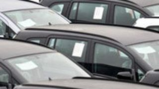 20337031 (Foto: Archiv)