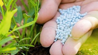 Aus der Kläranlage auf den Acker: Die Verwendung von Klärschlamm als Basis für Düngemittel stellt einige Herausforderungen. (©Singkham - stock.adobe.com)