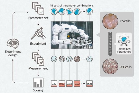 Overall workflow of the robotic search system.(Source:  Riken)