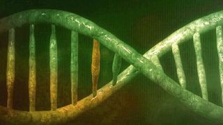 Versteckte Mutationen im Genom können später größere Evolutionssprünge ermöglichen (Symbolbild). (gemeinfrei, PublicDomainPictures)