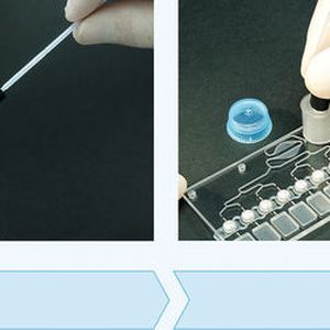 (Institut fur Mikrotechnik Mainz GmbH)