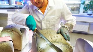 Ein Bayer-Forscher prüft die Qualität eines Polyurethan-Blocks (PUR). Auf der Utech 2015 in Maastricht zeigt das Unternehmen, wie man mittels PUR für Nachhaltigkeit und ein besseres Leben sorgen kann, wie es heißt. (Bild: Bayer Material-Science)