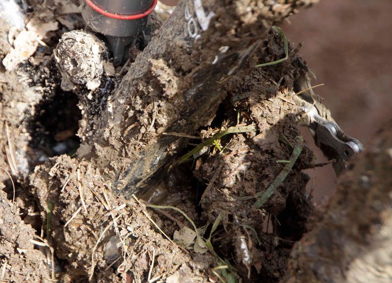Schlamm und Dreck belasten die Lager von Mountainbikes extrem und können zu gefährlichen Schäden führen. (Bild: SKF/Müller)