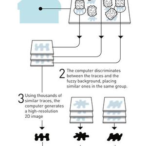 (Johan Jarnestad/ The Royal Swedish Academy of Sciences)