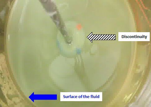 Figure 1: Visual appearance of the discontinuity and central region.(Source:  Syngenta)