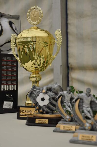Der Siegerpokal des 1. PROCESS Fußball Cup ist als Wanderpokal ausgelegt. (Archiv: Vogel Business Media)