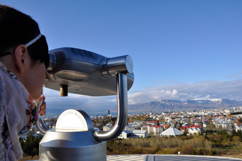Blick auf Reykjavik (Archiv: Vogel Business Media)