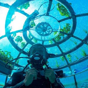 (OceanReefGroup 2022)