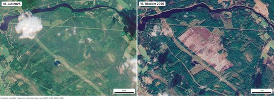 Vor der Rodung und danach: Satellitenbilder vom 31. Juli 2025 und 16. Oktober 2026 zeigen die rund 330 Hektar große Kahlfläche in Muhos zwischen dem Fluss Oulujoki und der Leitungsschneise.(Bild:  Modifizierte Copernicus-Sentinel-Daten, aufbereitet von Syke (31.7.2025, 16.10.2026), CC BY 4.0.)