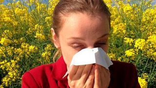 The study aimed to understand the major causes of widespread pollen allergy and identify the implementation gaps to suggest key adaptive measures to minimize the onset and exacerbation of pollen-related allergic diseases. (Pixabay)