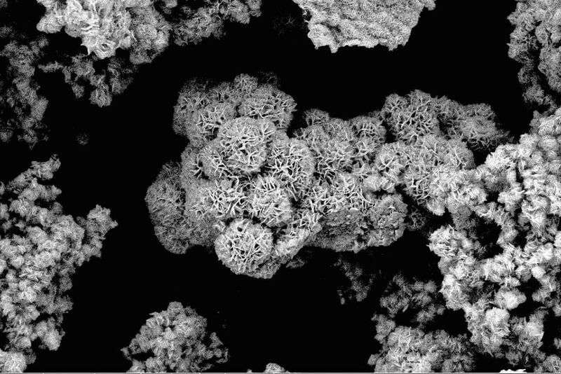 Molybdändisulfid im Rasterelektronen-Mikroskop 