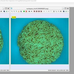 Bildverarbeitungssysteme sind in der Lage, Fehler in Instantnudeln innerhalb von Millisekunden zu erkennen.(Bild:  Teledyne Dalsa)
