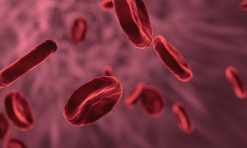 In einer großangelegten Genomstudie hat ein CAU-Forschungsteam nachgewiesen, dass die Blutgruppe die Zusammensetzung des Darmmikrobioms mit bestimmt. (Symbolbild)