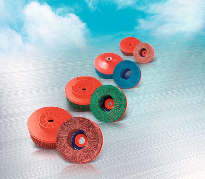 Entgratteller (zum Beispiel passend für Lissmac-Buetfering, Gecam, Loewer, Löser, Niederberger, RWT, Vangroenweghe). (Bild: Ernst Schweiz)