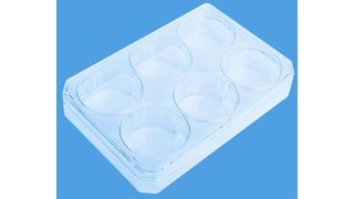 Die neue Thermo Scientific Nuclon Vita Stammzellenkulturoberfläche ermöglicht die direkte Anhaftung, Koloniebildung und das Wachstum von menschlichen embryonlanen Stammzellen.  (Bild: Thermo Fisher Scientific)