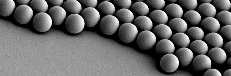 Die rasterelektronenmikroskopische Aufnahme zeigt eine Monoschicht aus kugelförmigen Janus-Mikrorobotern. Alle Mikroroboter wurden gleichmäßig beschichtet, was die hohe Reproduzierbarkeit des Herstellungsverfahrens bestätigt.