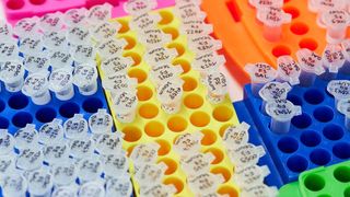 Chemikalienfreie, sichere und schnellere Herstellung von Impfstoffen durch den Einsatz von Elektronenstrahlen (Piotr Banczerowski/ Fraunhofer)