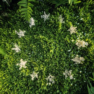 adobestock-817698505-malp-empco-richtlinie-999x562v1 (Bild: © malp/stock.adobe.com)