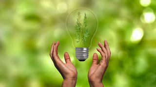 0114589915 (Bild: frei lizenziert)